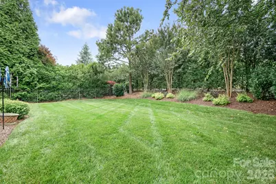 9133 Robbins Preserve Road, Cornelius, NC 28031 - Photo 38