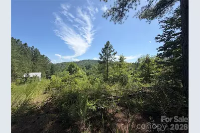 590 Gold Creek Point, Union Mills, NC 28167 - Photo 4