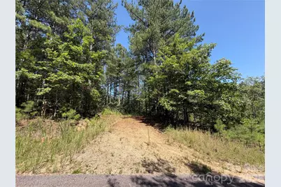 590 Gold Creek Point, Union Mills, NC 28167 - Photo 6
