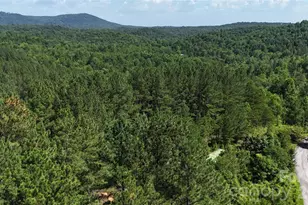590 Gold Crk Pt, Union Mills, NC 28167 - Photo 1