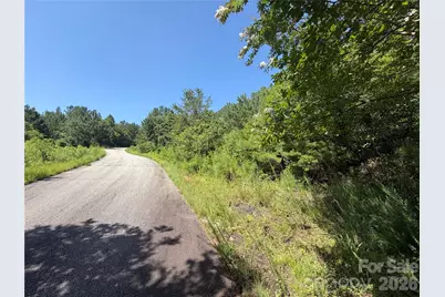 590 Gold Creek Point, Union Mills, NC 28167 - Photo 8