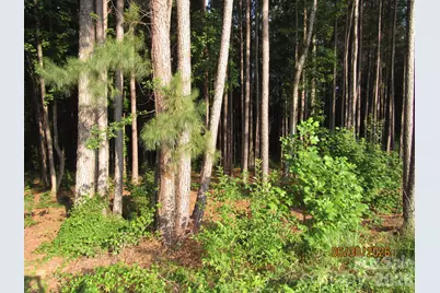 00 Church Road #Lot 11, Taylorsville, NC 28681 - Photo 6