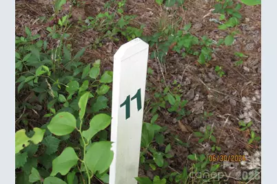 00 Church Road #Lot 11, Taylorsville, NC 28681 - Photo 4
