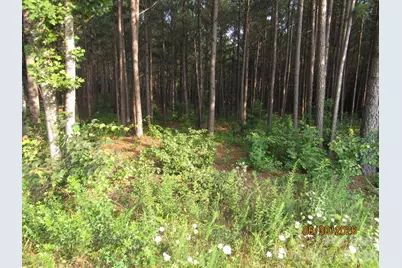 00 Church Road #Lot 14, Taylorsville, NC 28681 - Photo 6