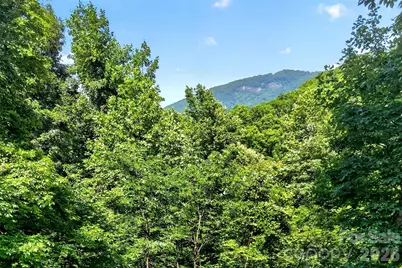 771 Sally Gap Road, Old Fort, NC 28762 - Photo 12