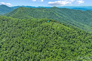 300 Licklog Mountain Trl, Burnsville, NC 28714 - Photo 40