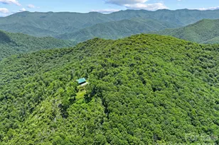 300 Licklog Mountain Trl, Burnsville, NC 28714 - Photo 6