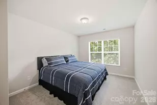 16716 Summers Walk Blvd, Davidson, NC 28036 - Photo 26