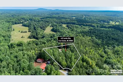 442 Lambs Way, Iron Station, NC 28080 - Photo 42