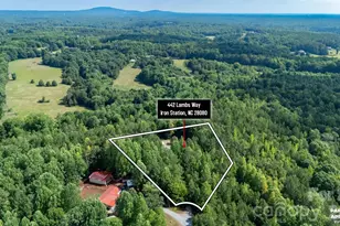 442 Lambs Way, Iron Station, NC 28080 - Photo 42