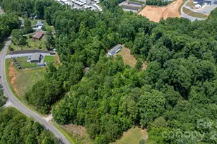2876 Burma Rd E, Nebo, NC 28761 - Photo 24