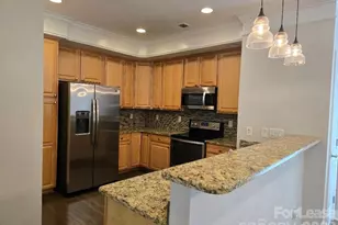 2359 Madeline Meadow Dr, Charlotte, NC 28217 - Photo 4