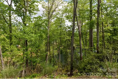 00 Deer Park Lake Road, Spruce Pine, NC 28777 - Photo 4