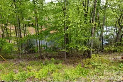 00 Deer Park Lake Road, Spruce Pine, NC 28777 - Photo 10