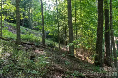 00 Deer Park Lake Road, Spruce Pine, NC 28777 - Photo 22