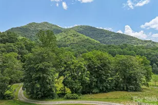 81 Aldens Way, Clyde, NC 28721 - Photo 6