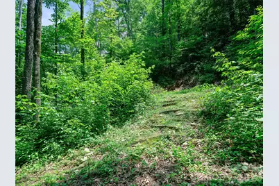 000 Ogles Gap Road, Burnsville, NC 28714 - Photo 14