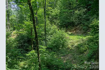 000 Ogles Gap Road, Burnsville, NC 28714 - Photo 30