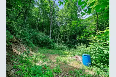 000 Ogles Gap Road, Burnsville, NC 28714 - Photo 6