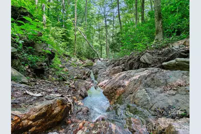 000 Ogles Gap Road, Burnsville, NC 28714 - Photo 8