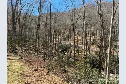 000 Ogles Gap Road, Burnsville, NC 28714 - Photo 42