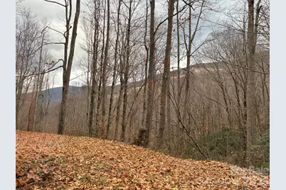 000 Ogles Gap Road, Burnsville, NC 28714 - Photo 4