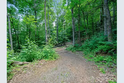 000 Ogles Gap Road, Burnsville, NC 28714 - Photo 22