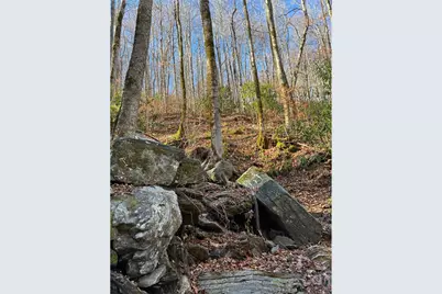 000 Ogles Gap Road, Burnsville, NC 28714 - Photo 44