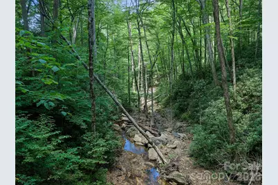 000 Ogles Gap Road, Burnsville, NC 28714 - Photo 38