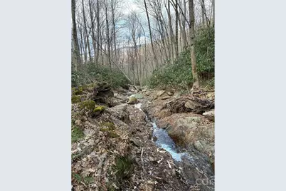 000 Ogles Gap Road, Burnsville, NC 28714 - Photo 1