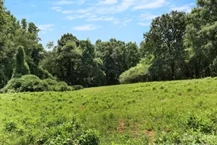 1541 Sandy Springs Rd, Rutherfordton, NC 28139 - Photo 32