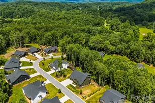 181 Byron Frst Dr, Horse Shoe, NC 28742 - Photo 48