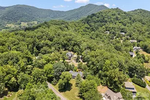 4 Leisure Wood Dr, Canton, NC 28716 - Photo 10