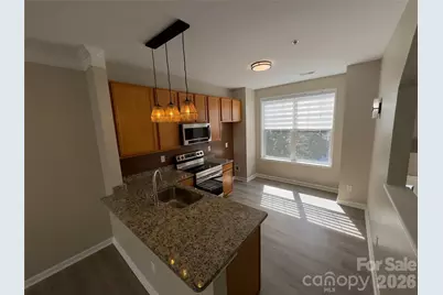6320 Royal Celadon Way, Charlotte, NC 28269 - Photo 6