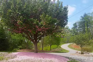 178 Waightstill Dr, Arden, NC 28704 - Photo 30