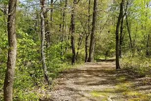 178 Waightstill Dr, Arden, NC 28704 - Photo 32