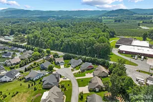 76 S Anvil Ave, Hendersonville, NC 28792 - Photo 36