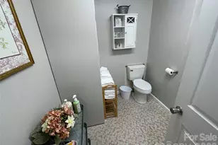 702 Love Joy Rd, Canton, NC 28716 - Photo 22