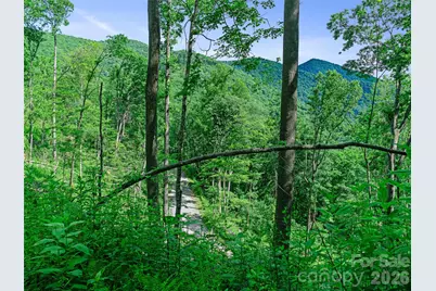 0 Ogle Meadows Road #5, Burnsville, NC 28714 - Photo 4
