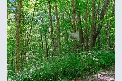 0 Ogle Meadows Road #5, Burnsville, NC 28714 - Photo 6