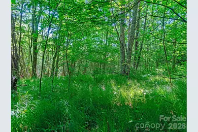 0 Ogle Meadows Road #5, Burnsville, NC 28714 - Photo 18