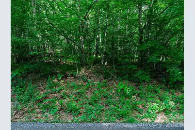 0 Ogle Meadows Road #5, Burnsville, NC 28714 - Photo 10