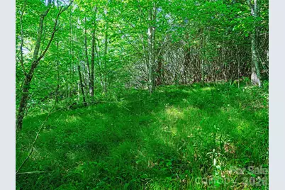 0 Ogle Meadows Road #5, Burnsville, NC 28714 - Photo 14