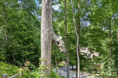 24 Caroline Lane, Pisgah Forest, NC 28768 - Photo 28
