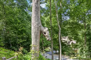 24 Caroline Ln, Pisgah Forest, NC 28768 - Photo 28