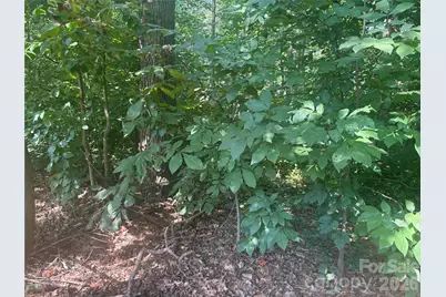 427 Deauville Road, Statesville, NC 28625 - Photo 2