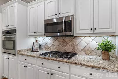 115 Orchard Farm Lane, Mooresville, NC 28117 - Photo 14