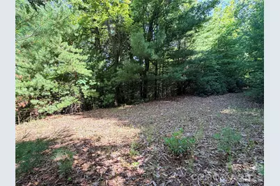 Tbd Blue Rock Road #171 & 172B, Purlear, NC 28665 - Photo 8