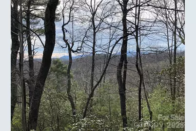 Tbd Blue Rock Road #171 & 172B, Purlear, NC 28665 - Photo 22