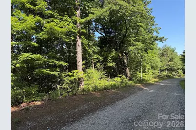 Tbd Blue Rock Road #171 & 172B, Purlear, NC 28665 - Photo 6